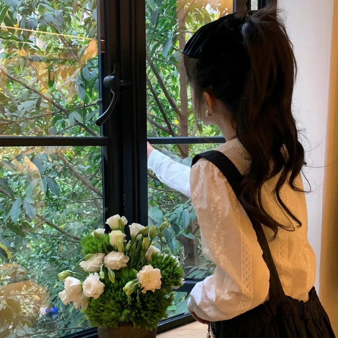 小鸟之翼第二季
